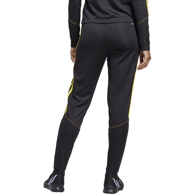 adidas Tiro 23 Club Training W pants IC1602 Clothing/Football Adidas