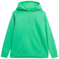 Sweatshirt 4F W 4FSS23TSWSF535 41S Clothing/Lifestyle/4F 4F