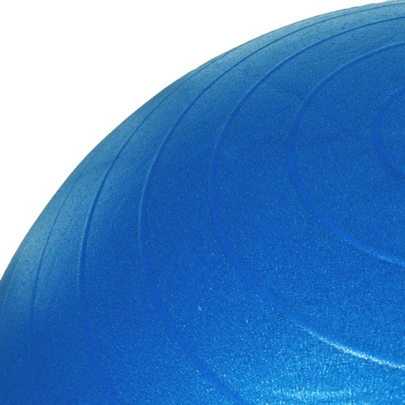 Gymnastics ball PROfit 85cm blue with pump DK2102 Accessories/Training equipment Your Sports Performance