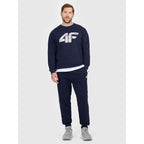 Men's jogger sweatpants 4F 4FRMM00TTROM1624-31S *Kategoria tymczasowa Your Sports Performance