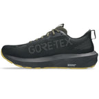 Asics GT-1000 14 GTX M 1011C078 001 Running Shoes Footwear/Running/Men/Trail Asics