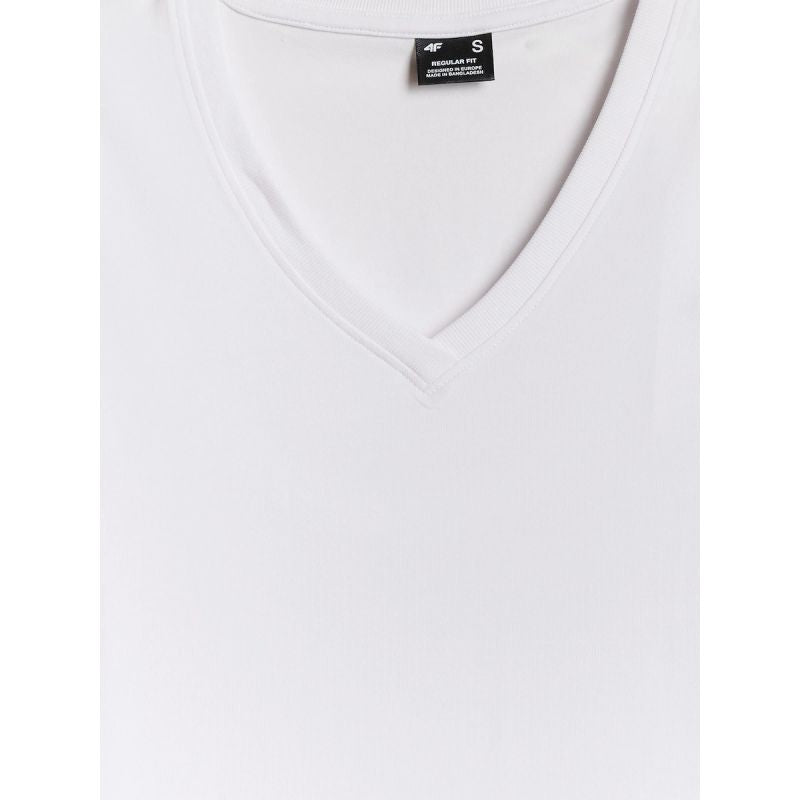 Women's regular plain T-shirt 4F 4FRMM00TTSHF3618-10S
