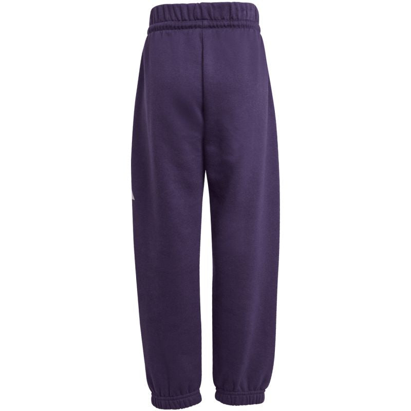 Kids' adidas Essentials Joggers purple tracksuit JW2439 In preparation Adidas