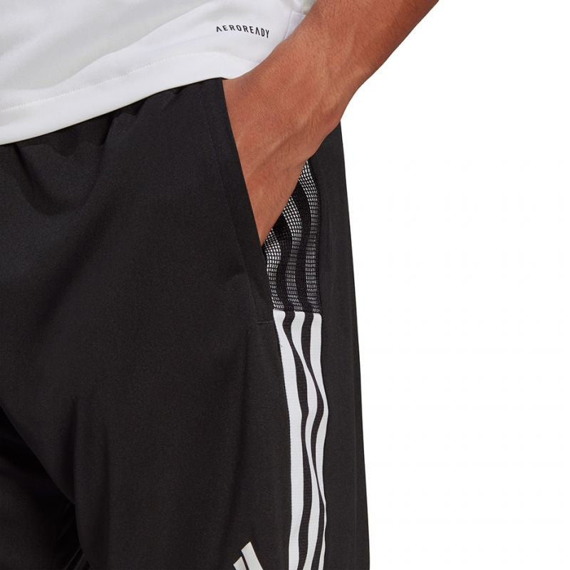 Adidas Tiro 21 Training M GN2157 shorts Clothing/Training Adidas