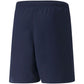 Puma teamRISE Short Jr 704943 06 Clothing/Football Puma