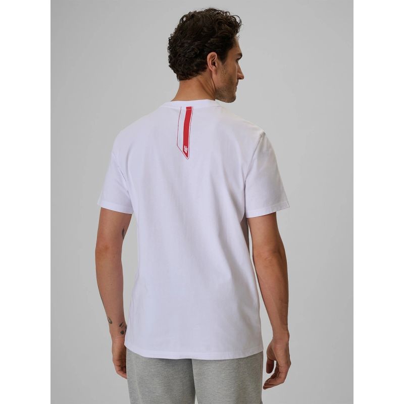 Men's cotton fan T-shirt 4F 4FRSS26TTSHM4203-10S