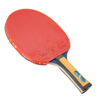 Giant Dragon 4★ N8042 Table Tennis Racket Accessories/Rackets and accessories Your Sports Performance