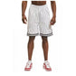 Karl Kani Small Signature Pinstripe Mesh Short M 6014921 Clothing/Basketball/Karl Kani Your Sports Performance