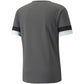 T-shirt Puma teamRISE Smoked M 704932 13 Clothing/Training Puma
