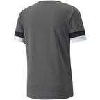 T-shirt Puma teamRISE Smoked M 704932 13 Clothing/Training Puma