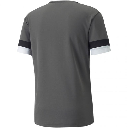 T-shirt Puma teamRISE Smoked M 704932 13 Clothing/Training Puma