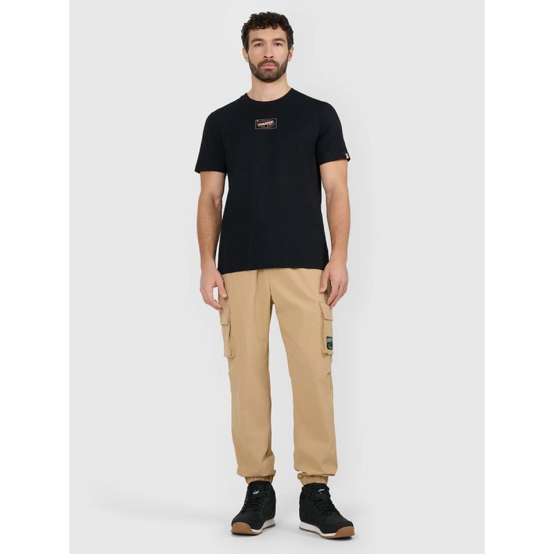Men's regular printed T-shirt 4F 4FRAW25TTSHM3377-20S 4f