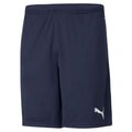 Puma teamRISE M 657336 06 shorts Clothing/Training Puma