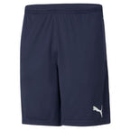 Puma teamRISE M 657336 06 shorts Clothing/Training Puma