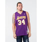 Mitchell & Ness Los Angeles Lakers NBA Swingman Jersey Lakers 99-00 Shaquille O`Neal SMJYGS18447-LALPURP99SON Clothing/Lifestyle/T-shirts/Mitchell & Ness Your Sports Performance