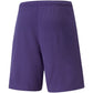 Puma teamRise Short Prist M 704942 10 Clothing/Training Puma
