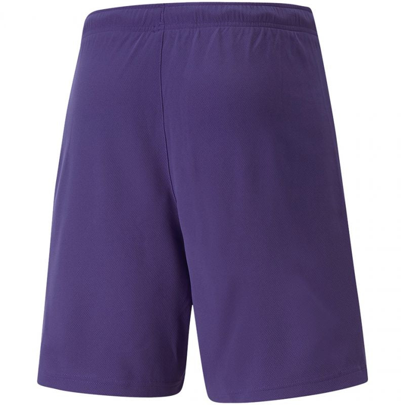 Puma teamRise Short Prist M 704942 10 Clothing/Training Puma