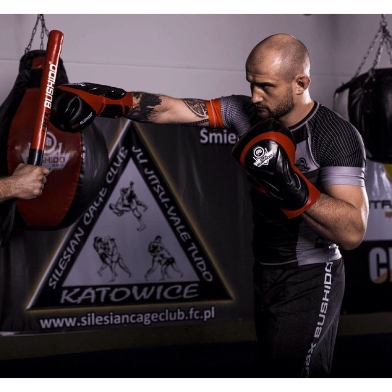 10oz Boxing Gloves - Blaze Red - Legacy Series rękawice treningowe Your Sports Performance