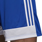 Shorts adidas Tastigo 19 Shorts Jr DP3682 Clothing/Football Adidas