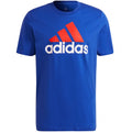 adidas Essentials Big Logo Tee M H12174 Clothing/Outdoor/T-shirts with short sleeves/adidas Your Sports Performance