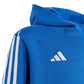 Adidas Tiro 23 League Sweat Hoodie Jr IC7855 Clothing/Training Adidas