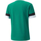 Puma teamRise Jersey M 704932 05 Clothing/Training Puma
