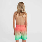 O'Neill Jack Cali Gradient 14'' Swim Shorts Jr 92800613570 Clothing/Swimming/ONeill Your Sports Performance