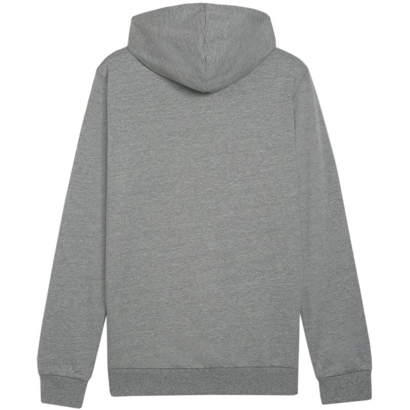 Puma Team Goal Casuals Hoody M 658618 33 Clothing/Training Puma