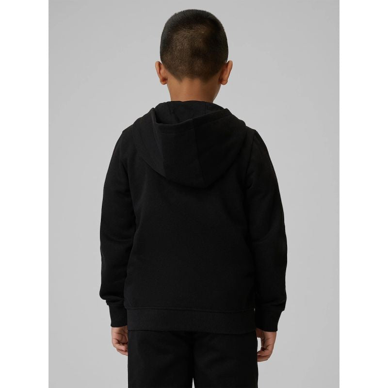 Boy's regular hooded sweatshirt 4F 4FJRMM00TSWSM2747-20S 4f