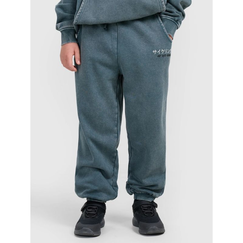 Boys' jogger sweatpants 4F 4FJRAW25TTROM1528-46S 4f