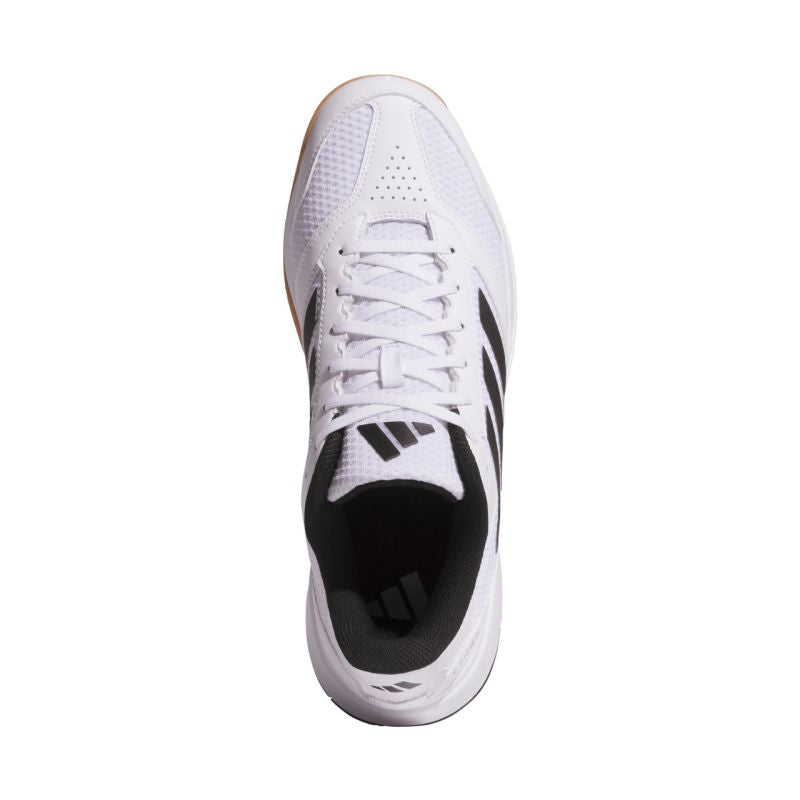 Handball shoes adidas Ligra 8 IN M JI1505 Footwear/Handball/Men Adidas