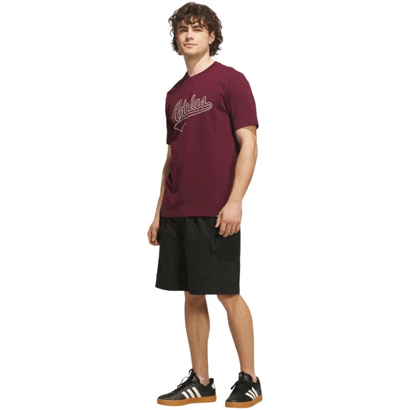 adidas Varsity Tailsweep Graphic Men's T-Shirt in Burgundy KS2180
