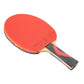 Giant Dragon 8★ N8081 Table Tennis Racket Accessories/Rackets and accessories Your Sports Performance