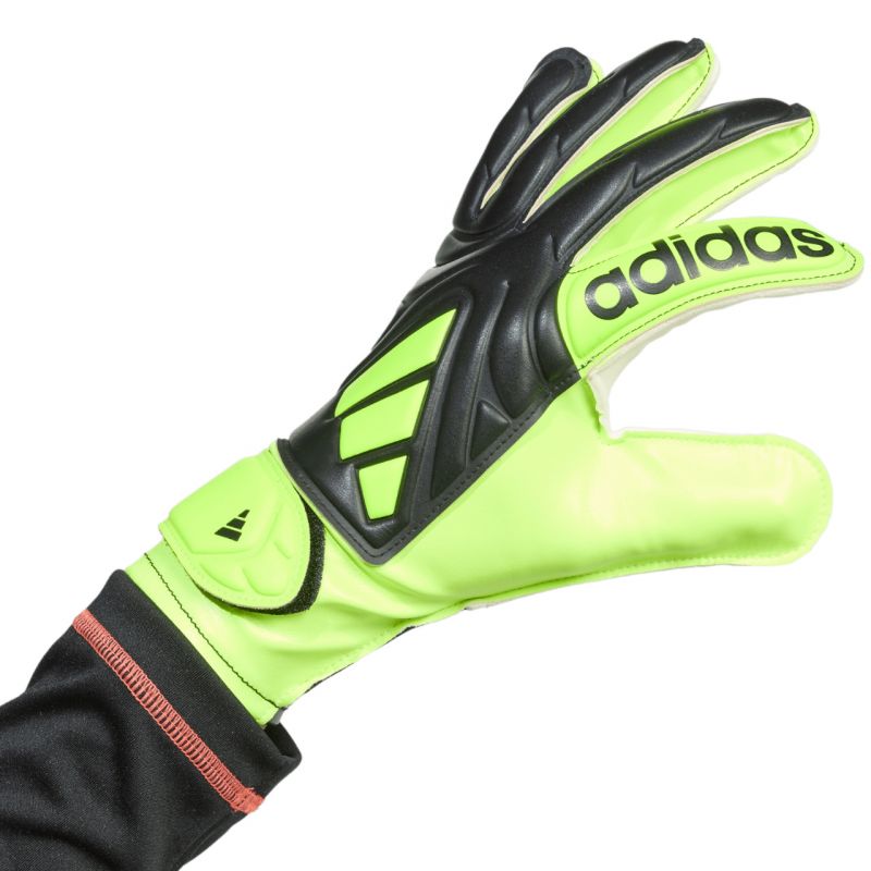 adidas Copa Club Jr JN5341 Goalkeeper Gloves Accessories/Gloves Adidas