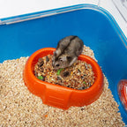 FERPLAST Combi 2 - hamster cage Dla małych zwierząt/Klatki Your Sports Performance