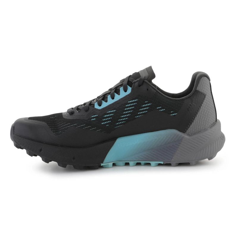 Shoes adidas Terrex Agravic Flow 2 GTX M H03382 Footwear/Running/Men Adidas