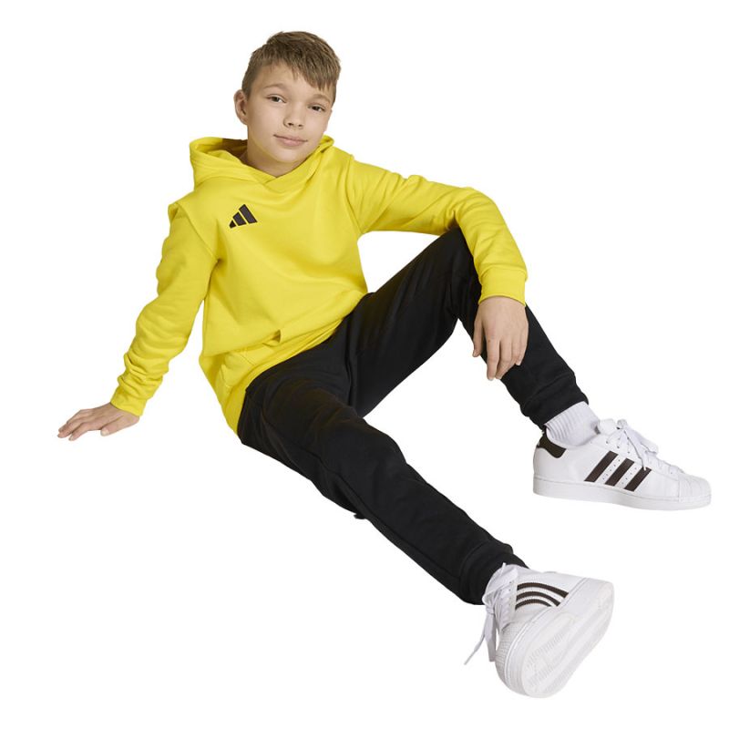 Adidas ENTRADA 26 Hoody Junior JZ6564 sweatshirt To be categorized Your Sports Performance