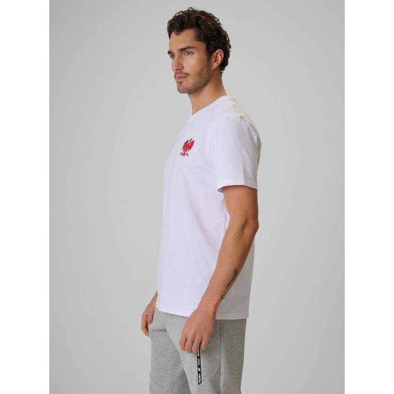 Men's cotton fan T-shirt 4F 4FRSS26TTSHM4203-10S