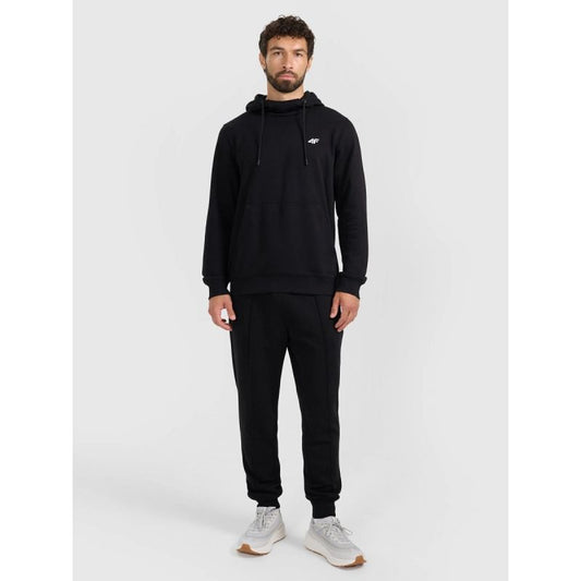 Men's jogger sweatpants 4F 4FRAW25TTROM1671-20S *Kategoria tymczasowa Your Sports Performance