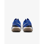 Nike Vapor Drive AV6634-410 shoes Footwear/Training/Women Nike
