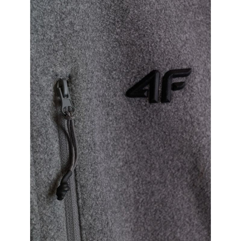 Regular men's fleece with stand-up collar 4F 4FRAW26TFLEM542-24M