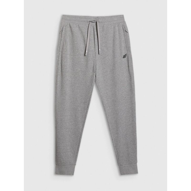 Men's jogger sweatpants 4F 4FRMM00TTROM1624-27M *Kategoria tymczasowa Your Sports Performance