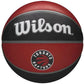 Ball Wilson NBA Team Toronto Raptors Ball WTB1300XBTOR Accessories/Balls/Basketball Your Sports Performance