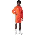 Champion Hooded M 220253 OS014 Clothing/Lifestyle/Champion Your Sports Performance