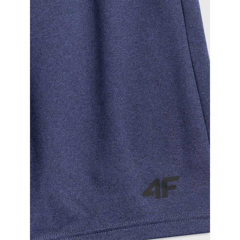 Men's quick-drying training shorts 4F 4FWSS26TFSHM1277-31M