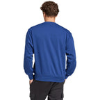 Men's adidas Essentials Feelcozy sweatshirt blue JE3792