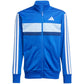 adidas Seasonal Essentials Tiberio 3-Stripes Jr JC7518 tracksuit Clothing/Training Adidas