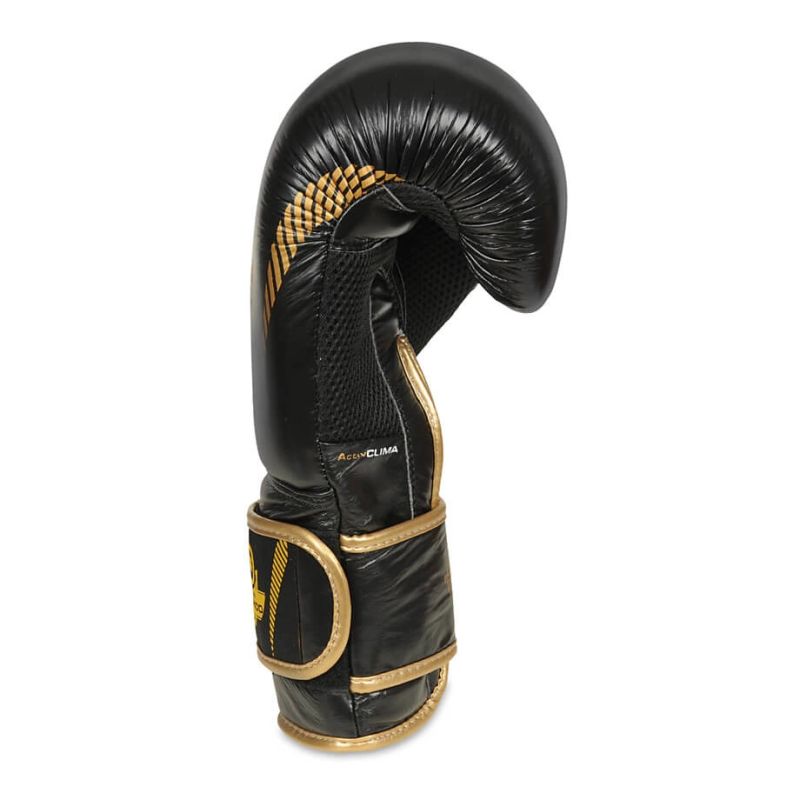 10oz Boxing Gloves - Aureos - Valor Series rękawice treningowe Your Sports Performance