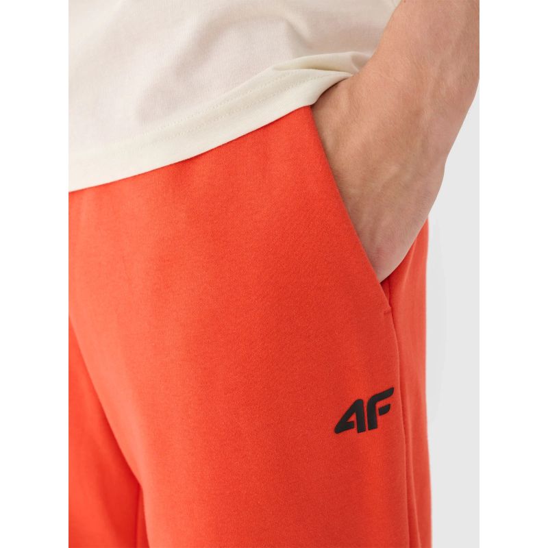 Men's jogger sweatpants 4F 4FWMM00TTROM1140-62S *Kategoria tymczasowa Your Sports Performance
