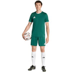 Men's adidas Entrada 26 Jersey green KE9832